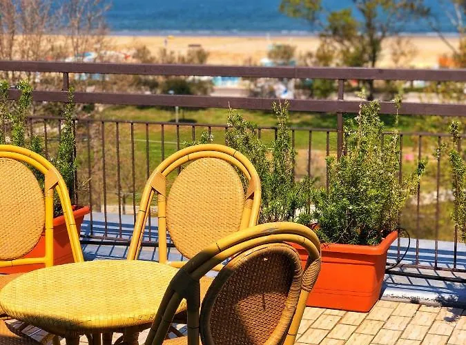 Amoha Rimini